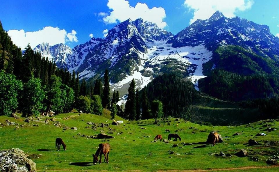 Beauty of Kashmir