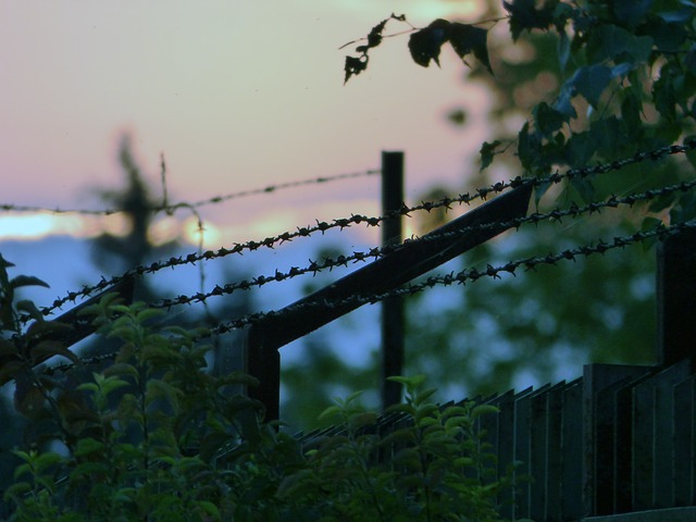 barbed wire 441329 640