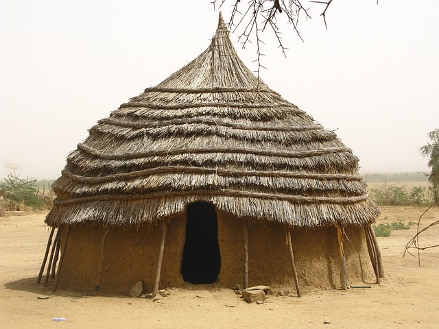 niger 80758 640