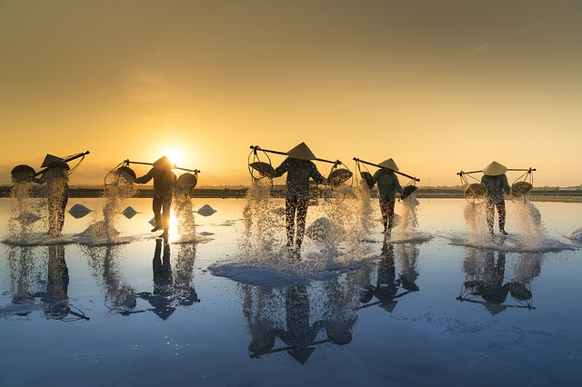 salt harvesting 3060093 640